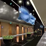 The G 5* 伊斯坦布尔